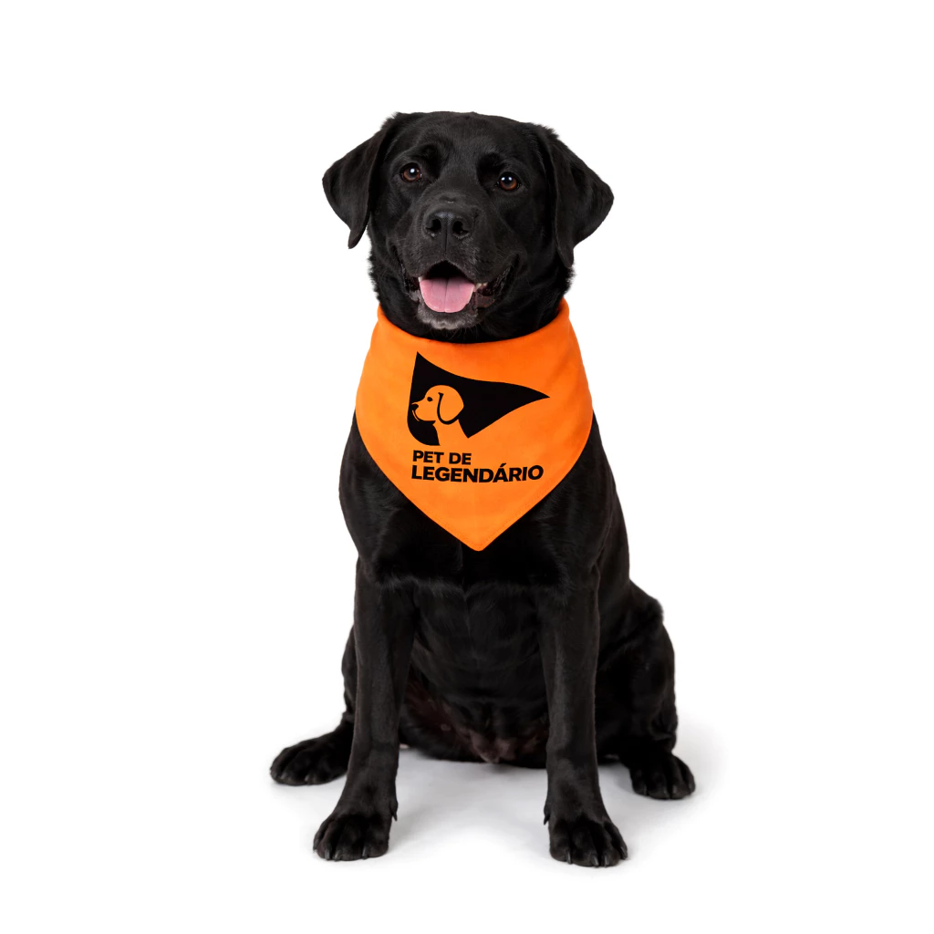 bandana Bandana pet - Imagem 1